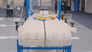 SpanTech Standard Straight Conveyors Provide High-Performance Product Transfer | www.ProPac.com