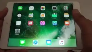 iPad Mini 4: How to Reset Keyboard Dictionary