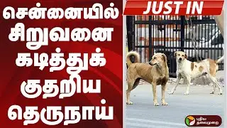 #JUSTIN : சென்னையில் சிறுவனை கடித்துக் குதறிய தெருநாய் | #dog| #dogbite | #chennai