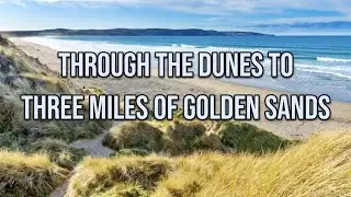 Experience the beautiful Nature Reserve in the sand dunes near Hayle, Cornwall