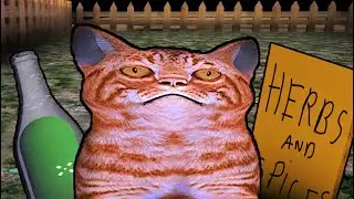 ALIMENTANDO A MI GATO DIABOLICO | Feed your cat