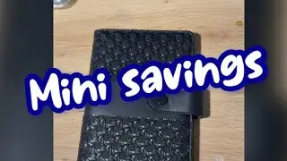 MINI SAVING CHALLENGES | LAST ONE OF JANUARY 