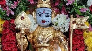 Sumangali women are invited give turmeric, saffron,betel leaves Ambal during testing period Navratri