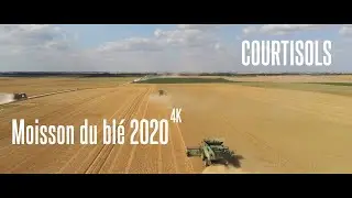 Moisson du bl&eacute; 2020 - Courtisols - 4K
