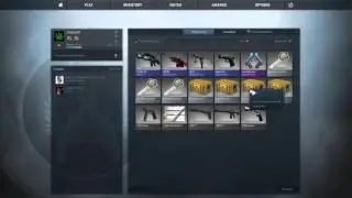 CSGO Case Opening!