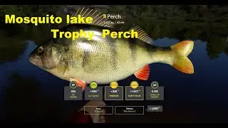 Russian fishing4,fishmeps :How to catch a Trophy Perch,Mosquito Lake.