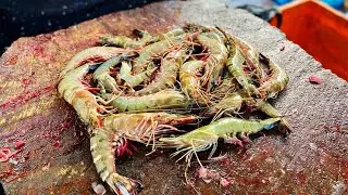 Prawn clean out 🔥kasimedu fish cutting 🔪