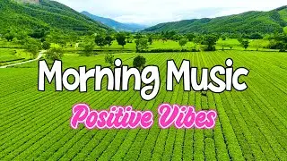 Good Morning Music - Feel The Positive Vibes - Latin Rhumba Cha Cha Guitar Instrumental Melodies