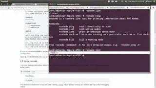 ROS Nodes