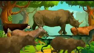 Fastest Animal Race Ever Stamped Crossover |Animal3D Cartoon