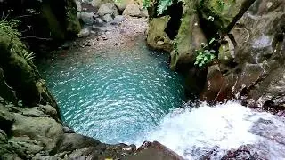 Cascade de la Source de Bouillante. Guadeloupe Bouillante Bourceau River