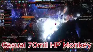 POE2-Casual 70Mil HP Monkey
