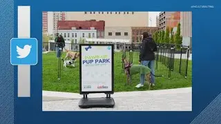 Dog Park along Cultural Trail
