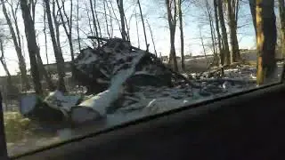 Soothing drive through the snowy sunny forest