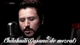 El Chocho Maldito en Cero Decibeles - Chilokuili (Gusano de mezcal)