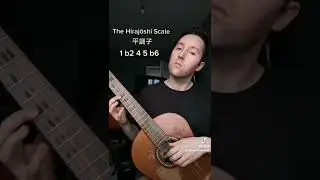 The Hirajōshi Scale #musictheory #guitar #guitarist #japanesemusic #koto #scales #modes #improv