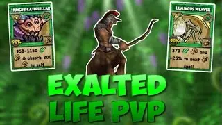 Wizard101: Exalted Life PvP #21 -Adam & Miguel-