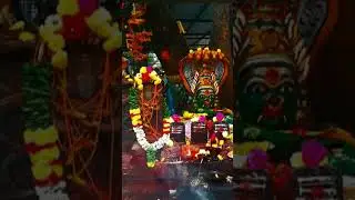Pachaiyamman arul kidaikattum #tamildevotional #devotionalsongs #religioussongs #ammankireedam  🪅🎉🎊