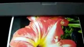 Machine refill cartridge  