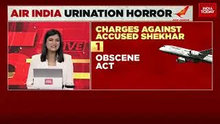 Air India Horror: Man Who Urinated On Co-Passenger On AI Flight Is From Mumbai, To Face Arrest