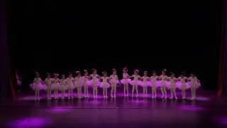 1. Classic Dance the first Performance of Denfest 15 (Choreography)