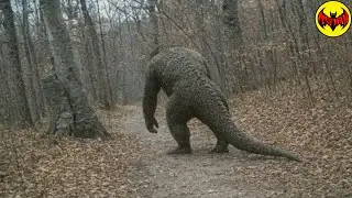 The Government Tried to Hide This Creature&hellip; But Someone Filmed It