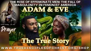 The Rise of Effeminate Men: The Fall of Masculinity in Feminist America