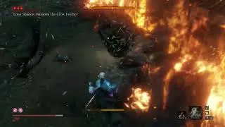 Sekiro: Long May the Shadows Reflect | Lone Shadow Masaomi The Crow Feather