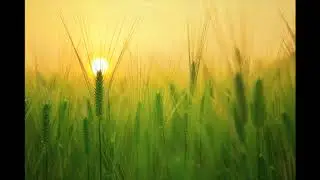 Sacred Play & Personal Healings