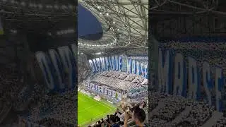 Tifos from Marseille&rsquo;s Virage Nord and Virage Sud against PSG #shorts