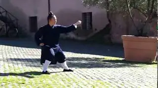 武当十八式太极拳 Wudang Xuan Wu Taiji 18 by Master Yuan Li Min