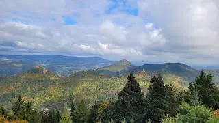 Wanderung zum Rehbergturm ab dem Campingplatz in Annweiler am Trifels