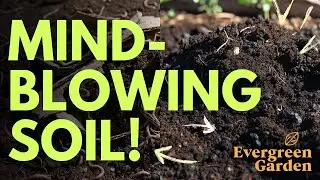 This Cardboard Vs Biochar Experiment SHOCKED Me {My Garden Soil Will Never Be the Same!}