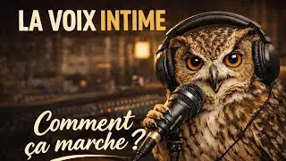 🦉LA VOIX INTIME, COMMENT &Ccedil;A MARCHE? Une explication sur ma m&eacute;thode de travail singuli&egrave;re.