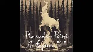 Pimeyden Peissi - Noitapiiri 