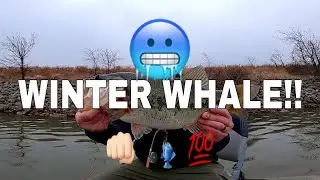 WINTER WHALE FISHING! Cold day at Dripping Springs Lake