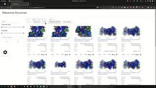 Riboxyz data section showcase.