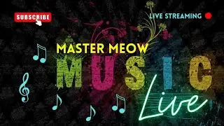 Master Meow Music Live | June 11, 2024