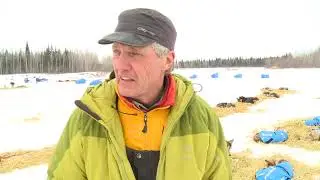 Iditarod veteran has anxious night as dog team breaks free, runs away