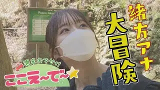 【ゴジカル！】週末おでかけ！ここえ～で～★・祖谷・大歩危周辺（三好市西祖谷村・山城町）