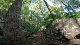 Mountain Mist Trail