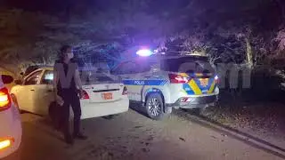Dama chauffeur di entrega di fastfood a dal auto di un reportero y a sigui core bay hasta a paga luz