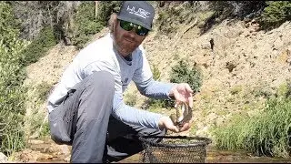 FLY FISHING WITH DRY FLIES