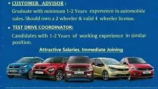 team leader, customer advisor, test drive coordinator...job vacancy