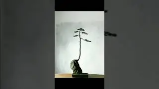 Creative Bonsai Inspiration | In Silence, I Grow  #208