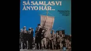 I sommarens soliga dagar
