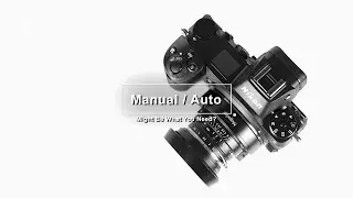 Nikon Z - Autofocus Manual Focus Lenses?! | Z7 II + More | A Quick Update | Matt Irwin