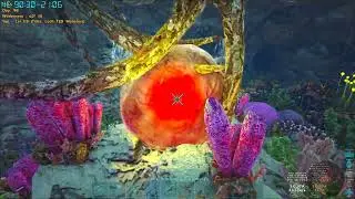 Ark: Caballus :: Water Cave - Artifact of the Massive :: CB2-20
