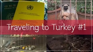 Phil Kor Couple | Travel to Turkey 🇹🇷 | Yellow card | Antipolo church