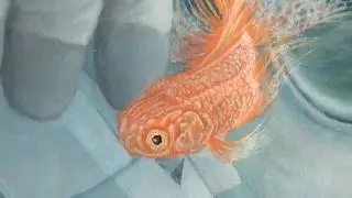 ZOOM INTO FISH FOOD - Pokarm dla rybek z przybliżenia  (Krzysztof Polaczenko)